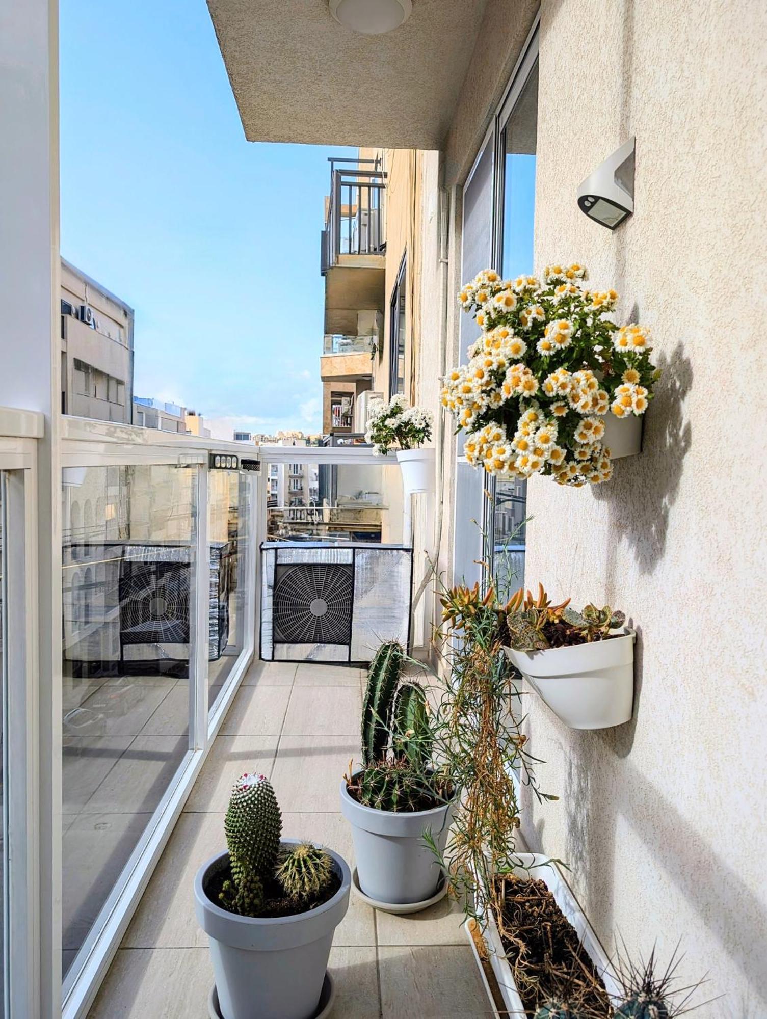 Central- Private En-Suite With Balcony In Shared Residence Pietà エクステリア 写真